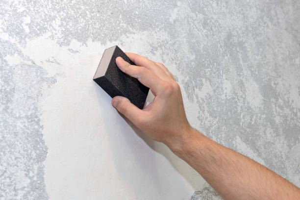 Forensic Mold Investigation in Verona, MS