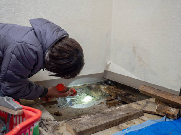 Best Crawl Space Mold Remediation  in Verona, MS