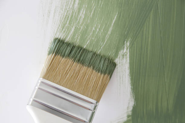 Best Water Damage & Mold Remediation  in Verona, MS