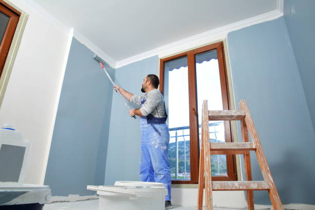 Best Mold Odor Removal Services  in Verona, MS