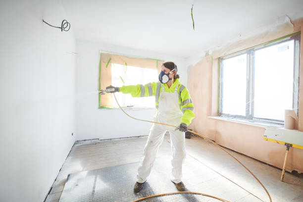 Best Mold Documentation for Insurance Claims  in Verona, MS