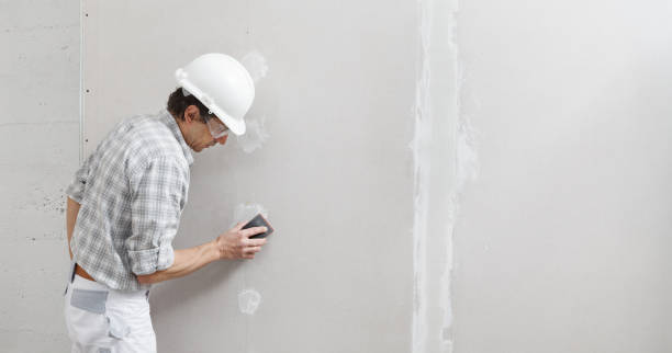 Best Water Damage & Mold Remediation  in Verona, MS