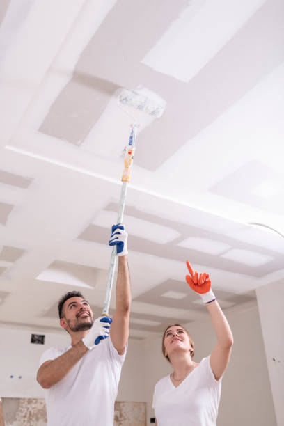 Best Dehumidification Services  in Verona, MS