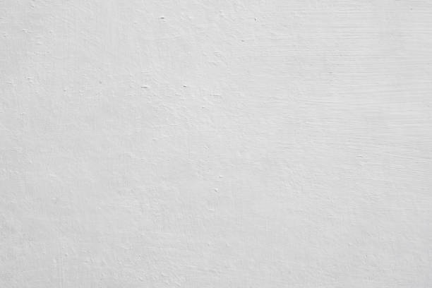 Mold Documentation for Insurance Claims in Verona, MS