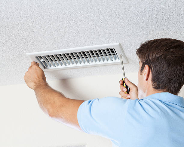 Best Mold-Related Health Consultation  in Verona, MS