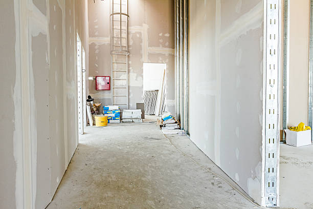 Best Mold Documentation for Insurance Claims  in Verona, MS